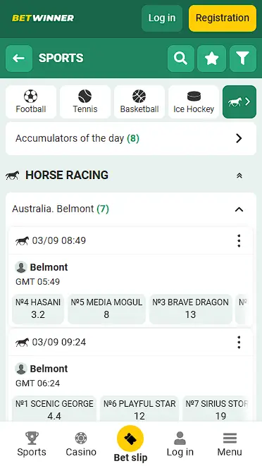 Top Horse Racing Betting Sites