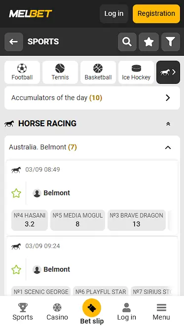 Bookmaker with Bets on the Horse Racing