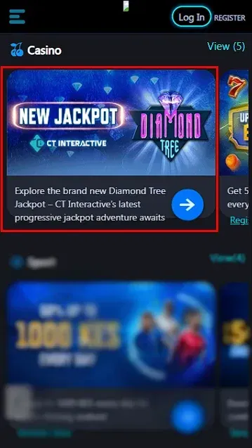 Palms Bet Casino Bonuses