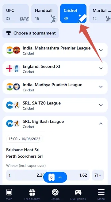 Can I bet in cricket on 1win?