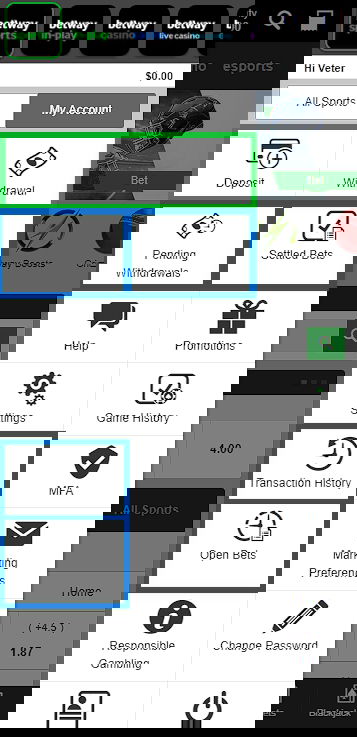 Betway transaction buttons