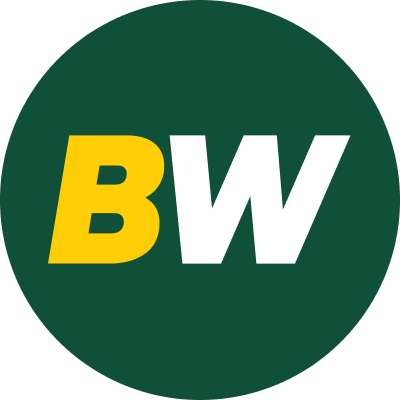 Betwinner logo