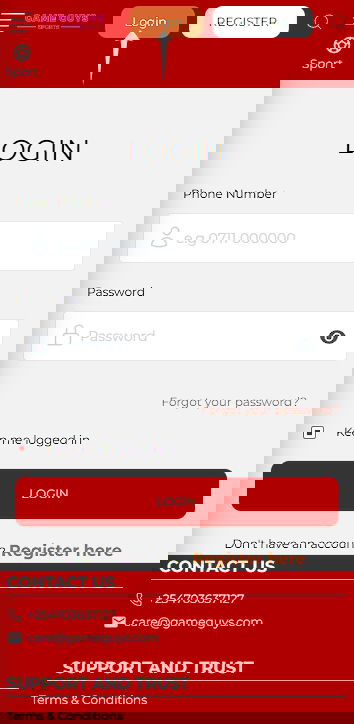 Game Guys authorization