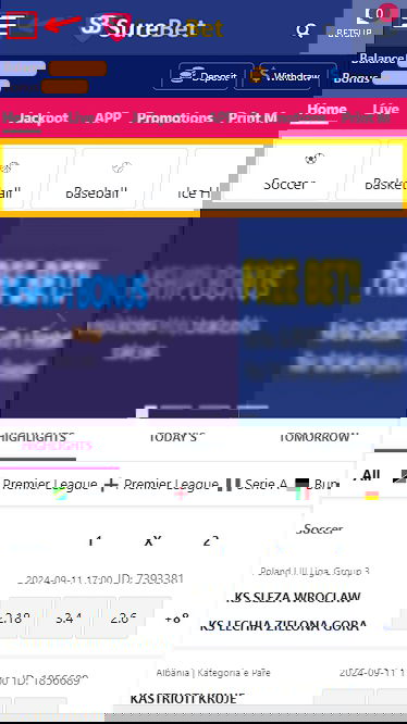 surebet mobile version