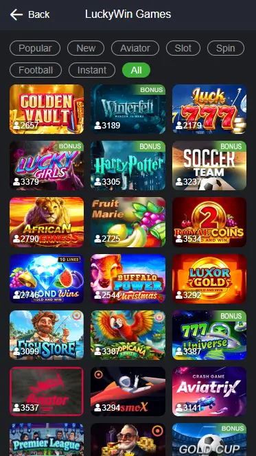Casino Games Section in the Mobile App