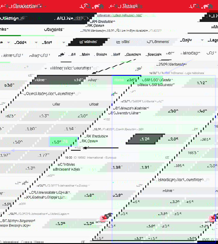 sportybet sports markets