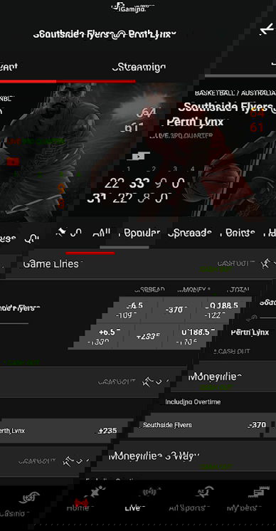 Betsafe app interface