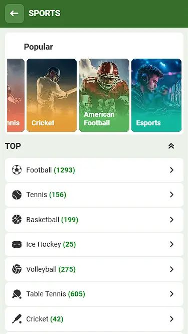 Linebet range of sport