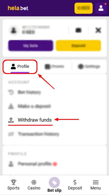 Withdraw Funds Section