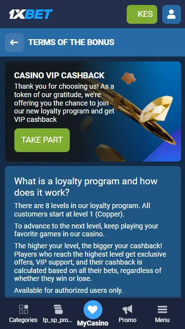 1xBet - Casino VIP Promo Page
