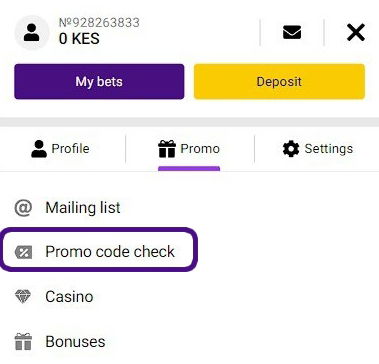 Promo code variant 2