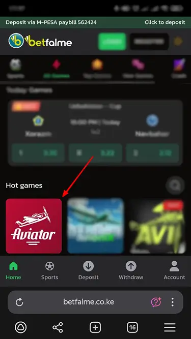 Betfalme Mobile Version Aviator Game