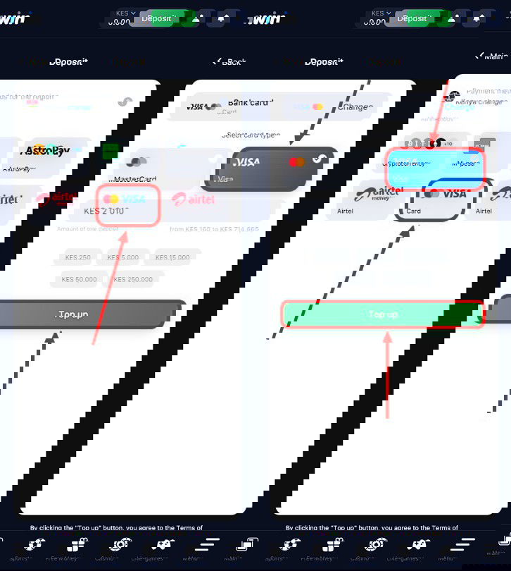 payment via visa at bookmakers platforms 