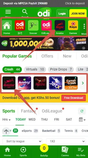 OdiBets aviator betting 