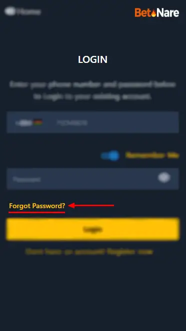 Betnare Password Recovery