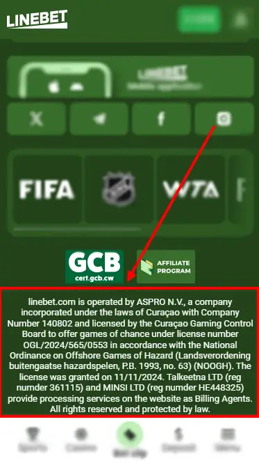 Linebet Aviator Kenya - License