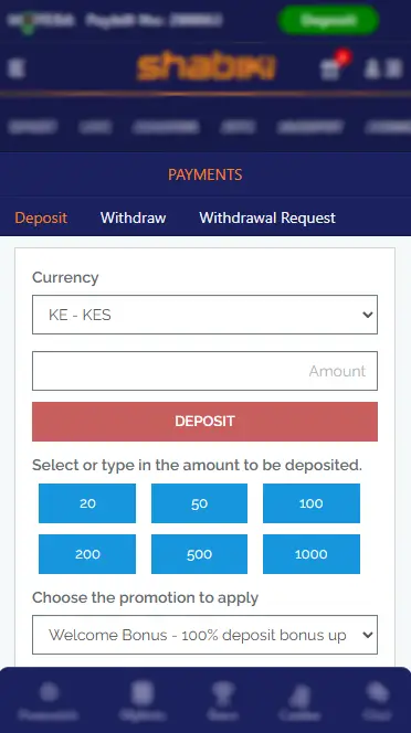 Shabiki Payment Form