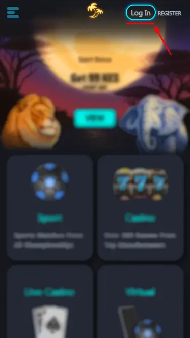 Palms Bet Log In Button