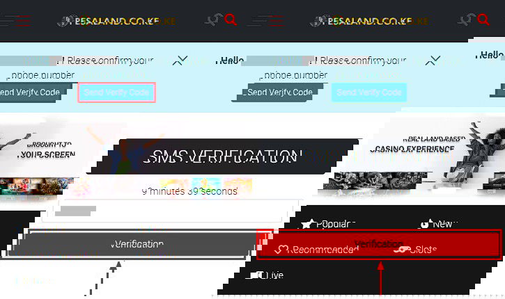 pesaland verification