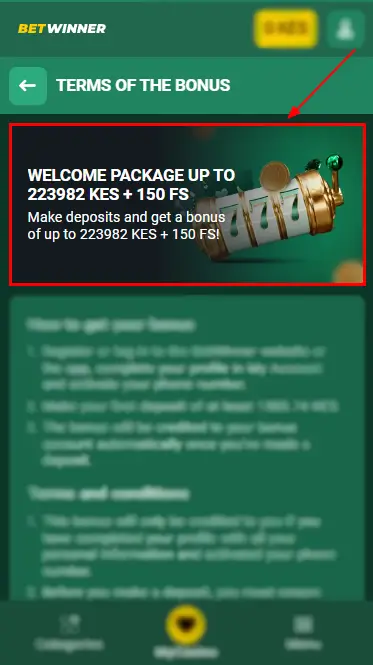 Betwinner Welcome Bonus for Casino